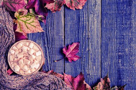 Autumn background with hot chocolate, knitted scarf, multi-colored leaves. Top view with copy space.