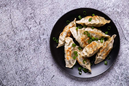 Fried dumplings Gyoza on a plate on a gray concrete background, top viewの写真素材