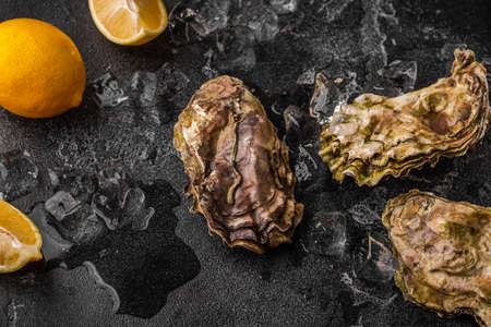 Fresh oysters close-up on ice served with lemon and wine. Healthy seafood, gourmet food.の写真素材
