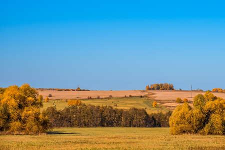 Beautiful colored autumn landscape in the countrysideの写真素材
