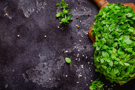 Cooking background with basil and different spices. top view.の写真素材