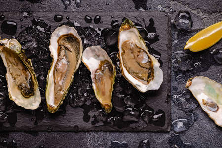 Opened fresh oysters on a plate, served with lemon and ice, top view.