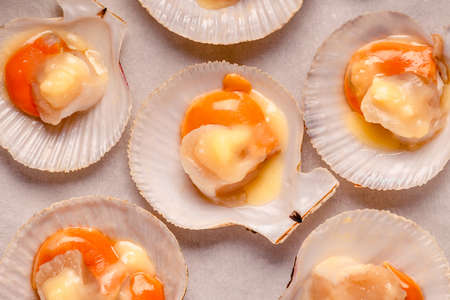 Raw scallops with melted butter on a baking sheetの写真素材