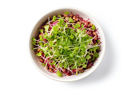 Mixed salad of sprouted grains and microgreens in a bowl, top viewの素材