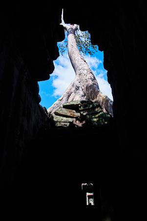 Historic building in Angkor wat Thom Cambodia with devatas carvings stone faces serenity milk oceanの写真素材