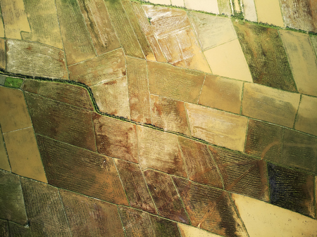 Aerial drone view topdown of a lotus farm in rural Cambodia countrysideの写真素材