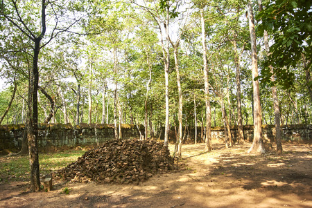 A small path leads from the ring-road to the Prasat Damrei (damrei = elephant).の写真素材