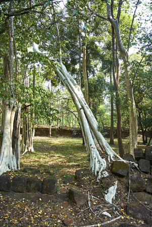 Among those rarely visited monuments in Cambodia this is one of the most romantic Khmer ruins at all.の写真素材