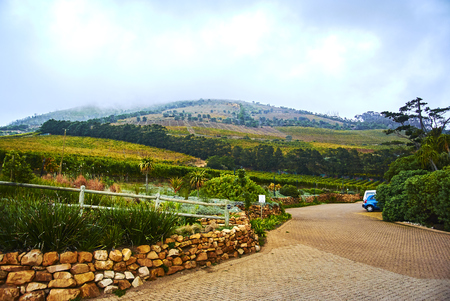 Constantia is an affluent suburb of Cape Town, South Africa.の写真素材