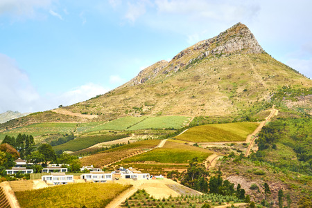 Stellenbosch is a town in the Western Cape province of South Africa.の写真素材