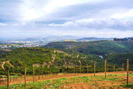 Stellenbosch is a town in the Western Cape province of South Africa, situated about 50 kilometres (31 miles) east of Cape Town.の写真素材