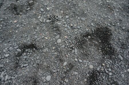 Rocky texture taken at the black sand beach in Icelandの写真素材