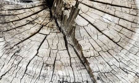 Background designed from wood surfaces.