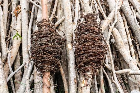 Background designed from wood surfaces.の写真素材