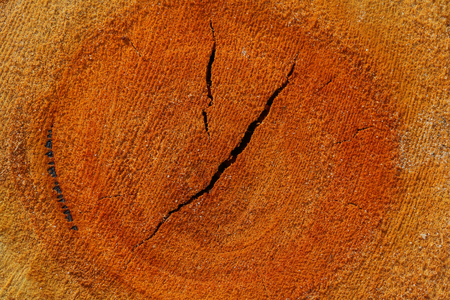 Old tree stump surface with cracks .