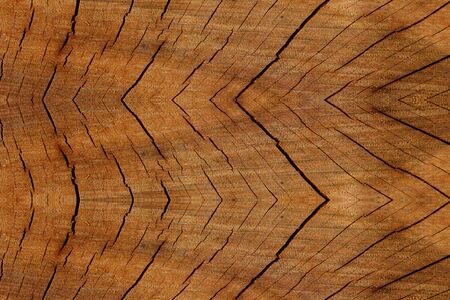 Old tree stump surface with cracks .の写真素材