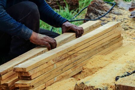 timber logs storage for construction or industrial