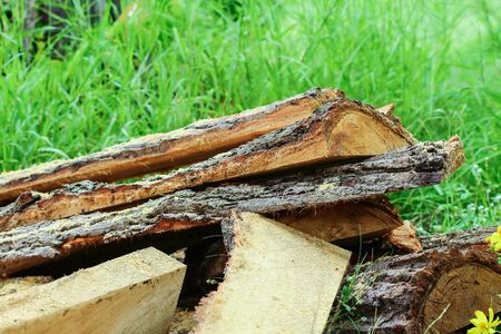 timber logs storage for construction or industrial