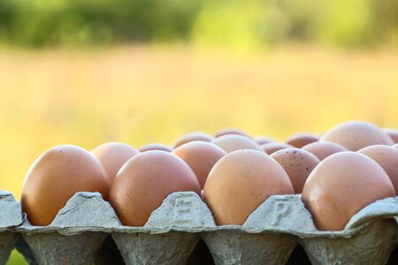Fresh eggs in the panel background .