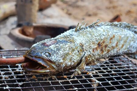 snakehead,Fish grilled on charcoal , traditional thailand .の写真素材