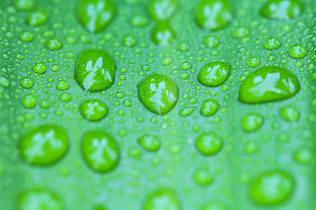 Drops of water on leaves in nature beautiful after rain .の写真素材