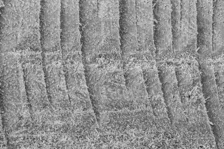 Wood abstract texture background.