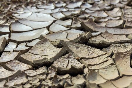 Drought, earth cracks, natural disasters.の写真素材