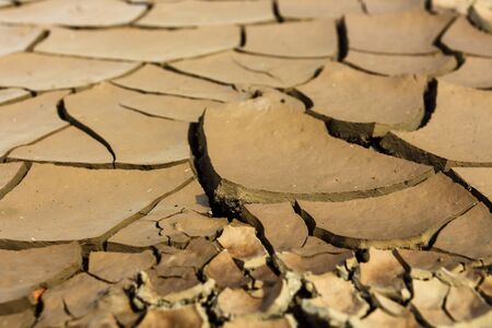 Drought, earth cracks, natural disasters.