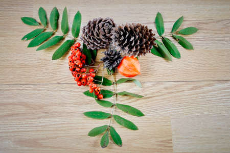 Autumn stilllife with rowan and cones on woodの写真素材