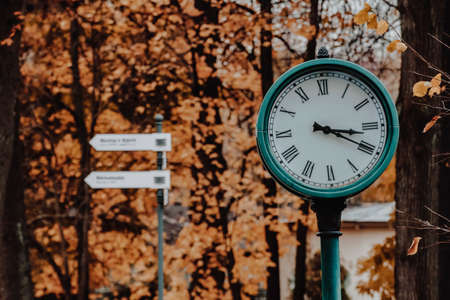 Round street clock in the autumn parkの写真素材
