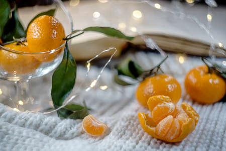 Christmas tangerines with lights and book on wool backgroundの写真素材