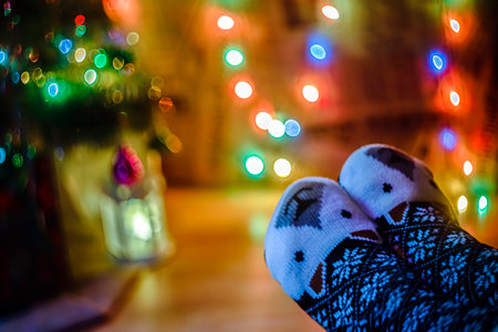 Directly Above Shot Of Woman legs in warm socks near Christmas treeの写真素材