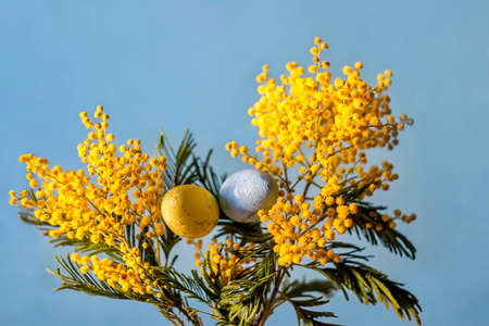 Happy Easter greeting card with mimosa and Easter eggs on blue backgroundの写真素材