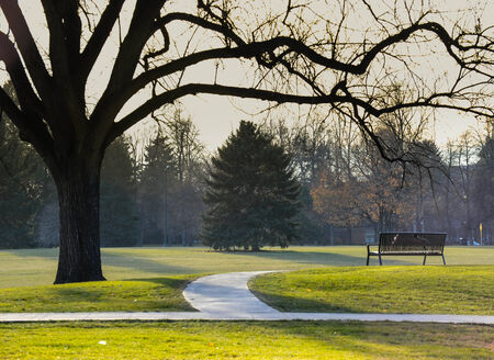 Bench in city parkの写真素材