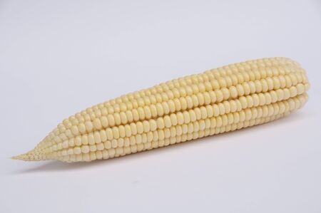 Cornの写真素材