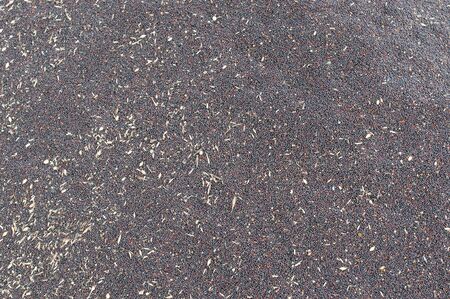 rapeseedsの写真素材