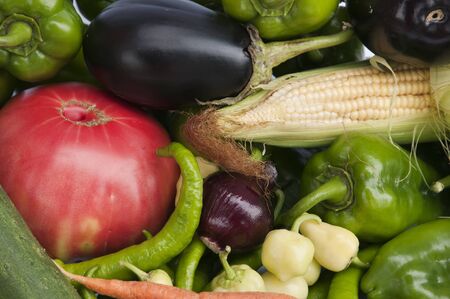 Grup of vegetablesの写真素材