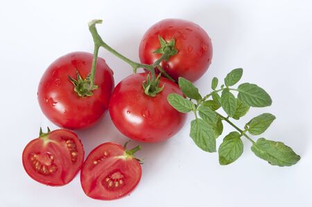 Tomatos on white backgroundの写真素材
