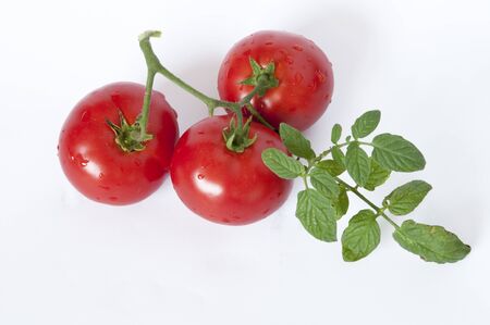 Tomatos on white backgroundの写真素材