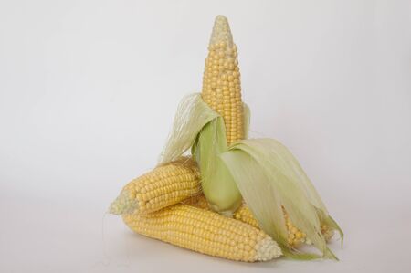 corn on the cobの写真素材