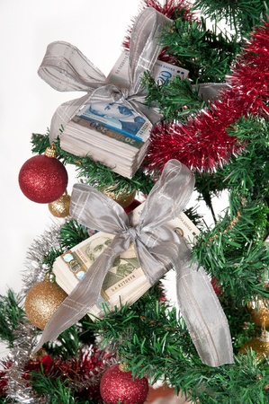 Two packs of Bulgarian banknotes hanging on a Christmas treeの写真素材
