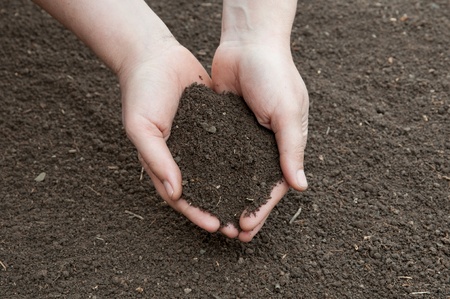 Soil- handful,female hands, humus soil