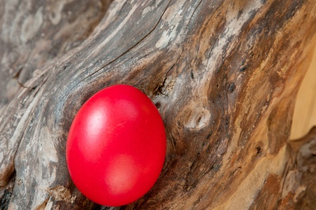 Red egg in a log.の写真素材