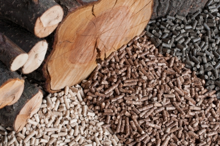 Different kind of pellets- oak, pine,sunflowerの写真素材