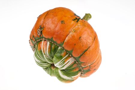 One Decorative Pumpkin on white backgroundの写真素材