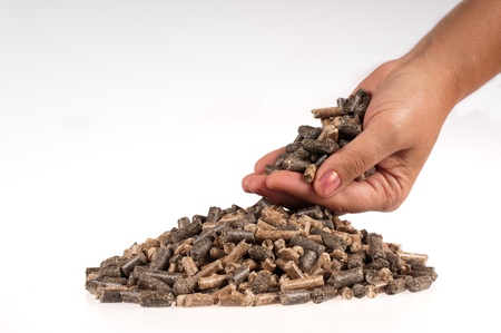 Different kind of pellets in female hand on the white backgroundの写真素材