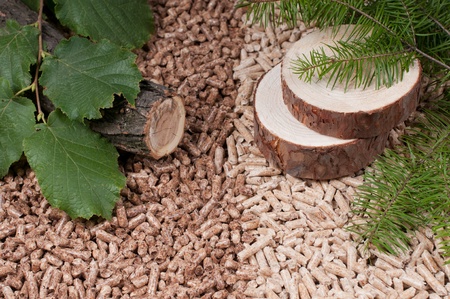 Two kind of pellets and materilas pellets madeの写真素材