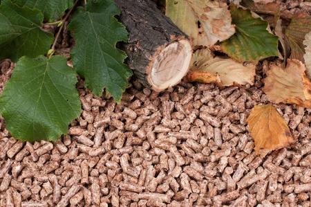 Oak pellets and materials pellets madeの写真素材