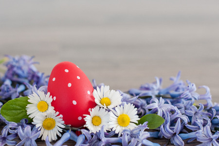 Easter postcard- Red Easter egg among spring flowers