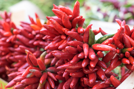 Heap of Red chili pepper on a marketの写真素材